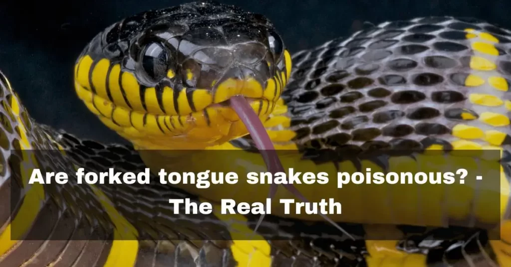 Are forked snakes poisonous